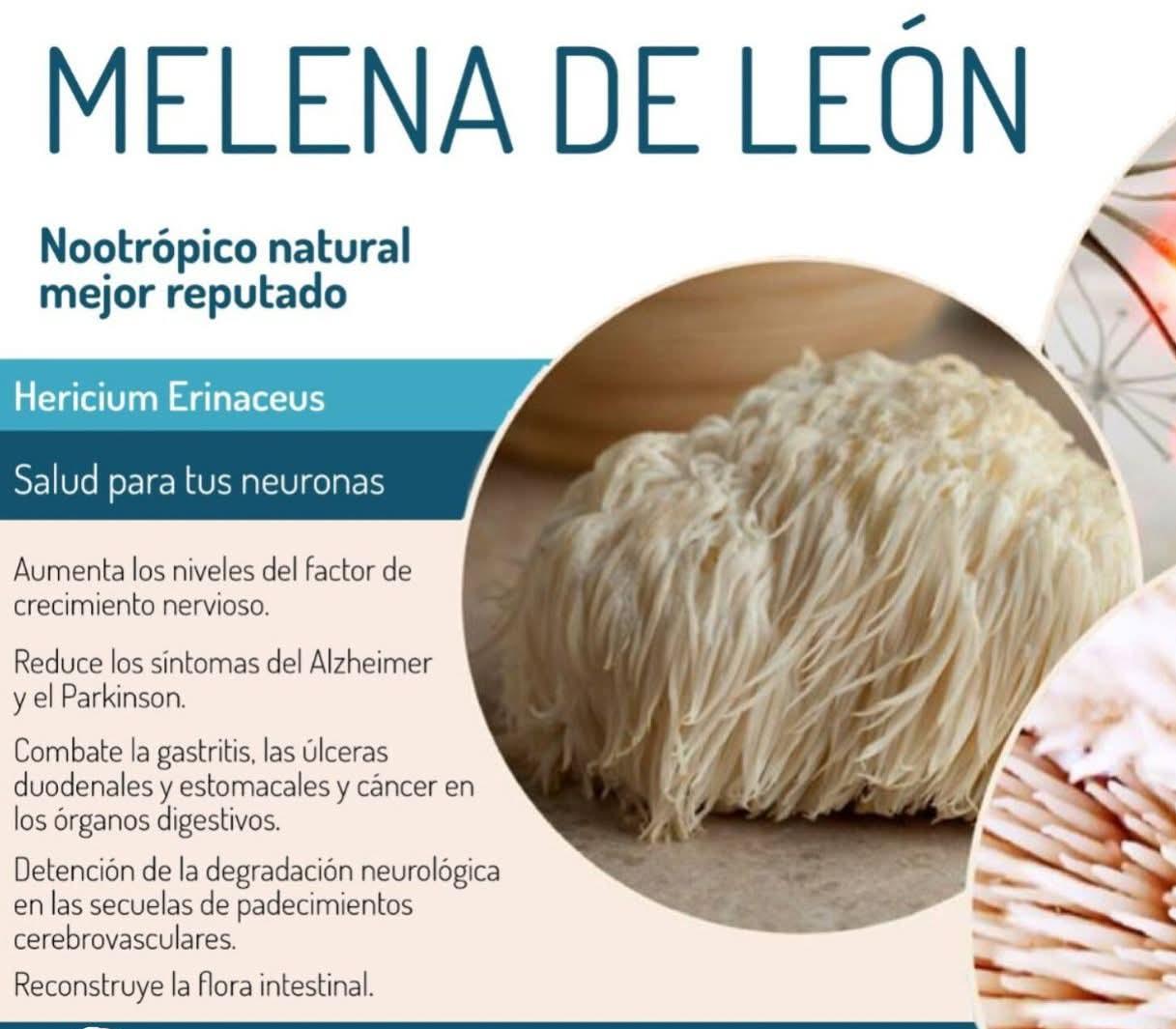 MELENA DE LEON